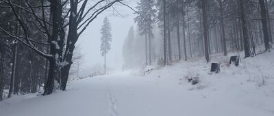 Schronisko PTTK Na Śnieżniku ↔ Międzygórze Górne