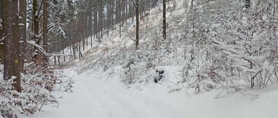 Przełęcz Sokołowska