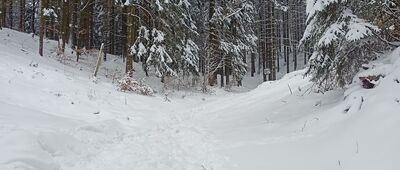 Przełęcz Sokołowska