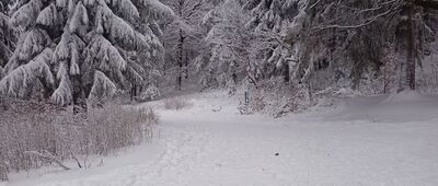 Rozdroże pod Waligórą