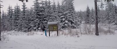 Rozdroże pod Waligórą