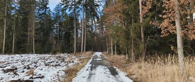 Błotnica ↔ Kolonia Błotnica