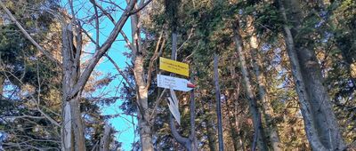 Do Piotra, skrzyżowanie