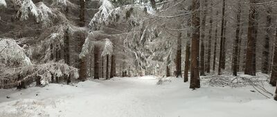 Pod Jawornikiem Wielkim