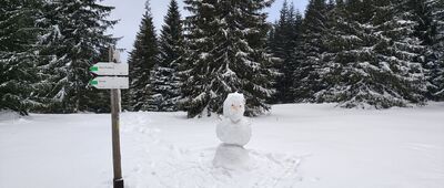 Iwaniacka Przełęcz