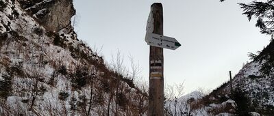 Starorobociańska Dolina