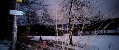 Chełm Wschodni [Chełm Wschodni (grudzień 2025)]