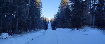 Michniów, dojazd pożarowy 9, parking ↔ Jaskinia Ponurego