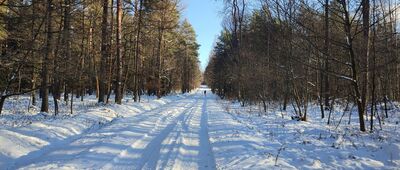 Rozejście szlaków ↔ Michniów, rozejście szlaków