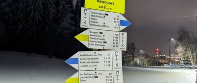 Rozdroże pod Nawojową [Góry Bystrzyckie - Rozdroże od Nawojową]