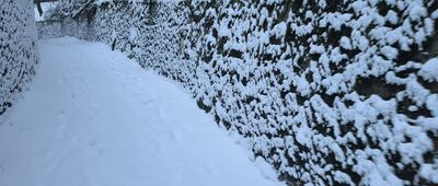 Włodyka ↔ Muzeum Molke [Muzeum Molke]