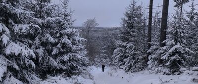 Przełęcz Jugowska ↔ Rozwidlenie pod Rymarzem [Przełęcz Jugowska]