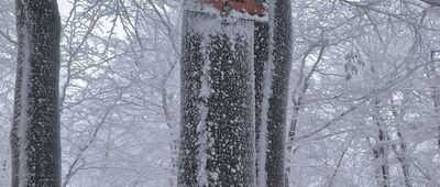 Zimna Polanka ↔ Kalenica [Słoneczna]