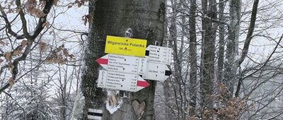 Wigancicka Polanka [Wigancicka Polanka]