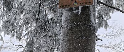 Przełęcz pod Szeroką ↔ Pod Malinową, początek szlaku zielonego [Malinowa]