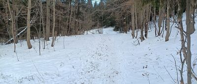 SST Lasek (Chatka Elektryków)