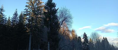 Carchla ↔ Zawoja, Przysłop