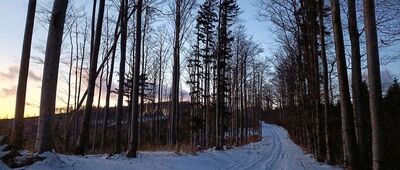 Lachów Groń ↔ Pod Suchą Górą