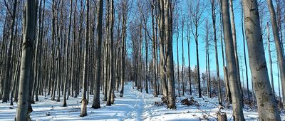 Jałowiec ↔ Pod Jałowcem