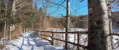 Przełęcz Kolędówki ↔ Przy Przełęczy Kolędówki