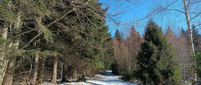 Przy Przełęczy Kolędówki ↔ Nad Przełęczą Przysłop