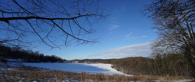 Wąwóz Myśliborski, odejście ścieżki przyrodniczej ↔ Jakuszowa