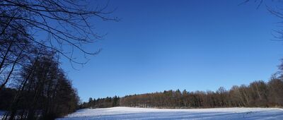 Kłonice ↔ Skrzyżowanie przy Grocie Pustelnika