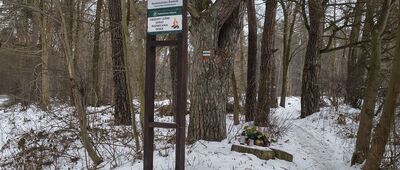 Prawiedniki, ul. Osmolicka