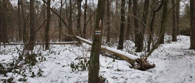 Prawiedniki-Kolonia ↔ Prawiedniki, ul. Osmolicka