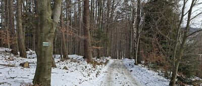 Porąbka ↔ Przełęcz Bukowska, odejście szlaku niebieskiego