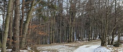 Przełęcz Bukowska, odejście szlaku niebieskiego