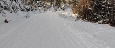 Pod Przełęczą Jugowską ↔ Taras pod Kozią Równią [Przełęcz Jugowska - Kozie Siodło zółtym szlakiem zimą]