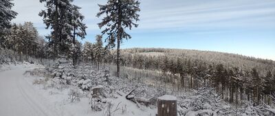 Taras pod Kozią Równią ↔ Kozie Siodło, rozwidlenie [Przełęcz Jugowska - Kozie Siodło zółtym szlakiem zimą]
