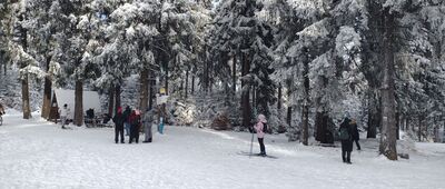 Kozie Siodło [Kozie Siodło]