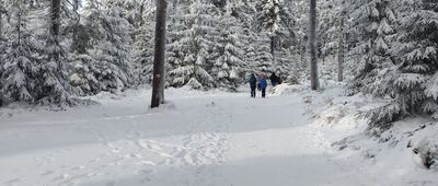 Rozdroże pod Wielką Sową ↔ Kozie Siodło [Kozie Siodło - Rozdroże pod Wielką Sową zimą]