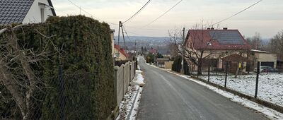 Błasiowo ↔ Przełęcz Bukowska, odejście szlaku niebieskiego