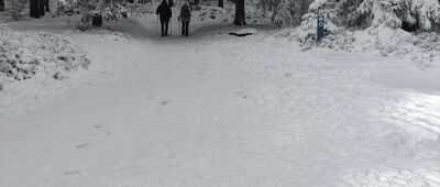 Rozdroże pod Wielką Sową [Rozdroże pod Wielką Sową]