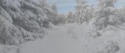 Wielka Sowa ↔ Rozdroże pod Wielką Sową [Rozdroże pod Wielką Sową - Wielka Sowa zimą]