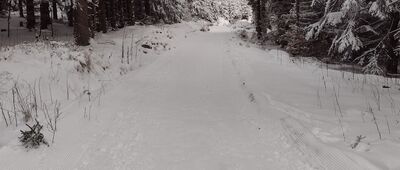 Schronisko Sowa [Rozdroże nad schroniskiem Sowa - Kozie Siodło zimą]