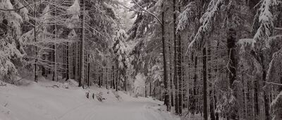 Schronisko Sowa ↔ Rozejście szlaków [Rozdroże nad schroniskiem Sowa - Kozie Siodło zimą]