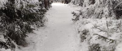 Kozie Siodło ↔ Rozdroże pod Kozią Równią [Kozie Siodło - Kozia Równia zimą]