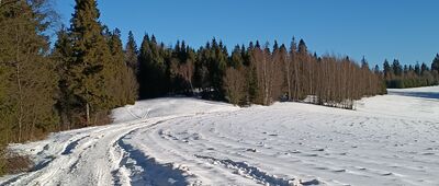 Kułakowy Wierch ↔ Stare Wierchy [Zima]