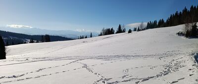 Kułakowy Wierch ↔ Stare Wierchy [Zima]