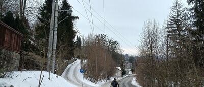 Wisła, ul. Górnośląska ↔ Wisła, Partecznik