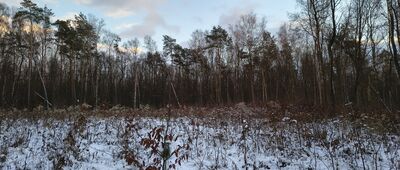 Zemborzyce Podleśne ↔ Lublin Zachodni, dworzec kolejowy