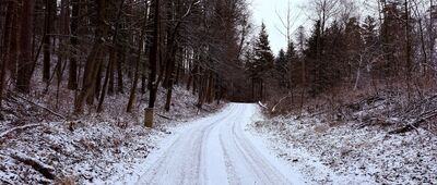 Goleszów, Kalwerk ↔ Goleszów, Hubertówka
