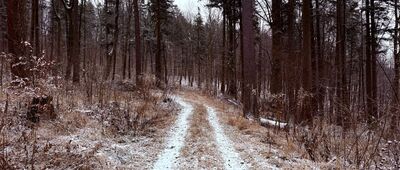 Rozejście szlaków ↔ Goleszów, Hubertówka