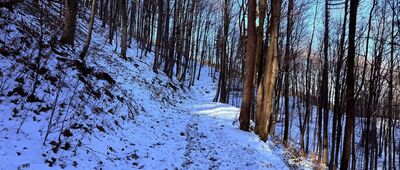 Flisz karpacki nad Wołkiem ↔ Rozejście szlaków