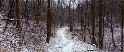 Sanatorka ↔ Rozejście szlaków