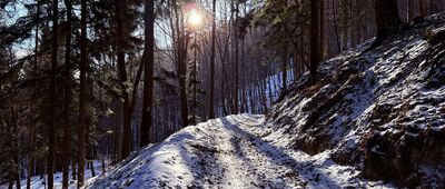 Pod Bujakowską Górą ↔ Flisz karpacki nad Wołkiem